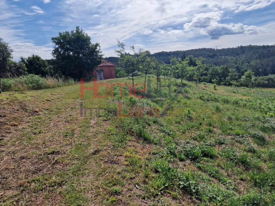 Terreno para Venda em Pindelo dos Milagres Foto 5