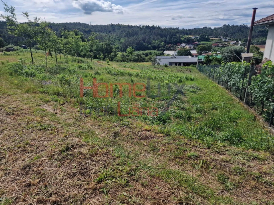 Terreno para Venda em Pindelo dos Milagres Foto 7