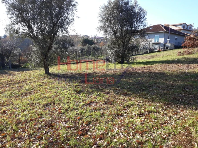 Terreno para Venda em Pindelo dos Milagres Foto 2