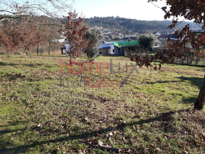 Terreno para Venda em Pindelo dos Milagres Foto 4
