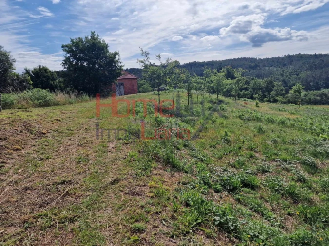 Terreno para Venda em Pindelo dos Milagres Foto 5