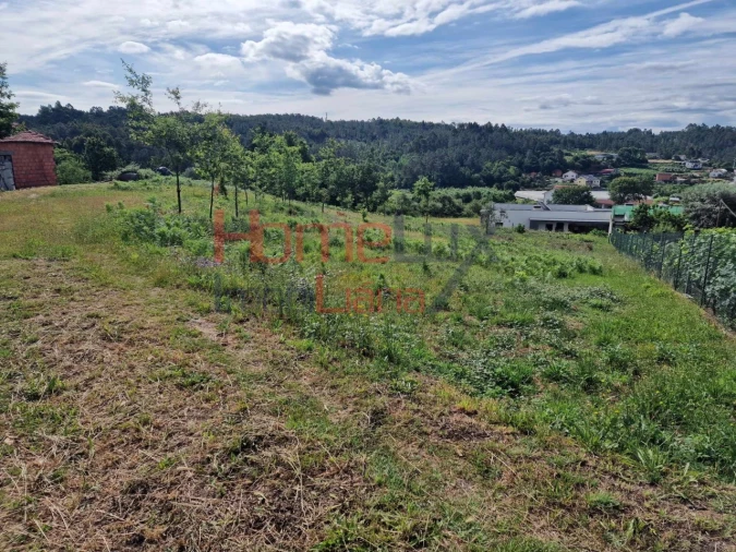 Terreno para Venda em Pindelo dos Milagres Foto 6