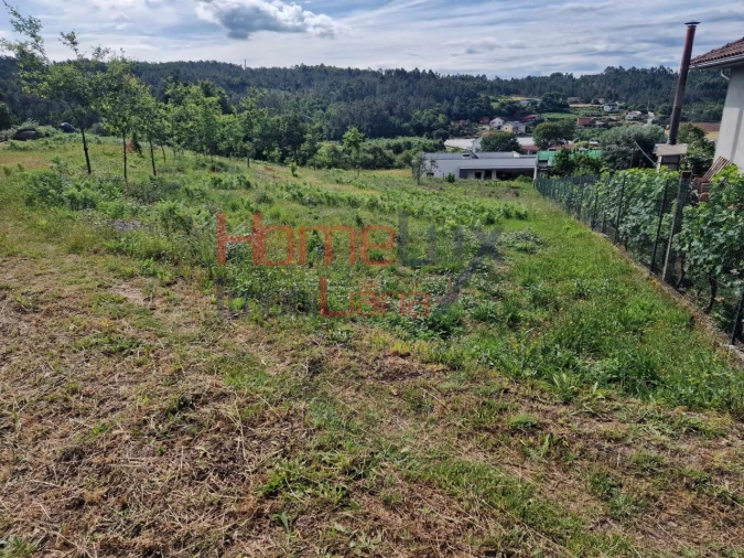 Terreno para Venda em Pindelo dos Milagres Foto 7