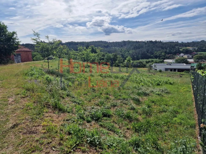 Terreno para Venda em Pindelo dos Milagres Foto 8