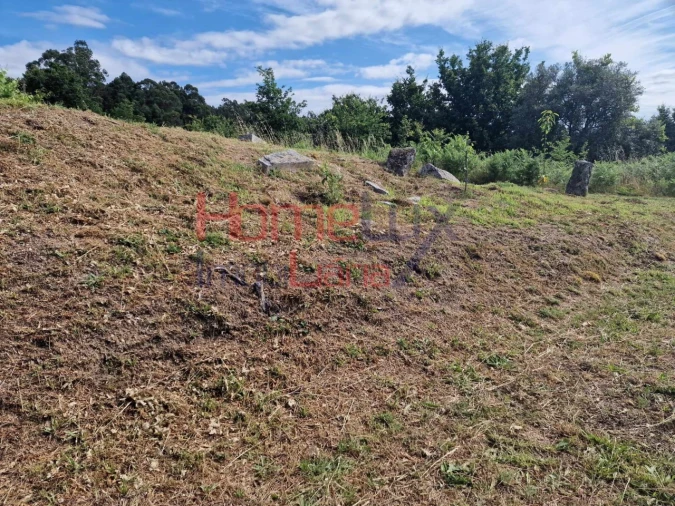 Terreno para Venda em Pindelo dos Milagres Foto 9