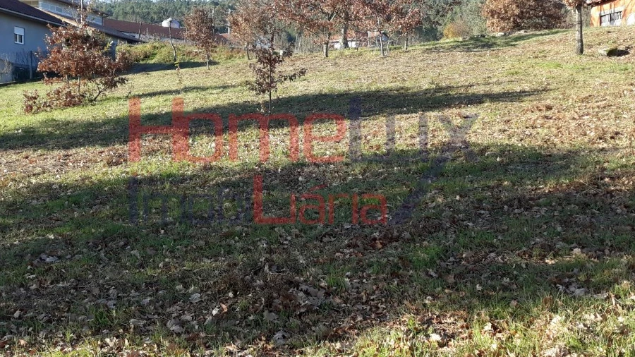 Terreno para Venda em Pindelo dos Milagres