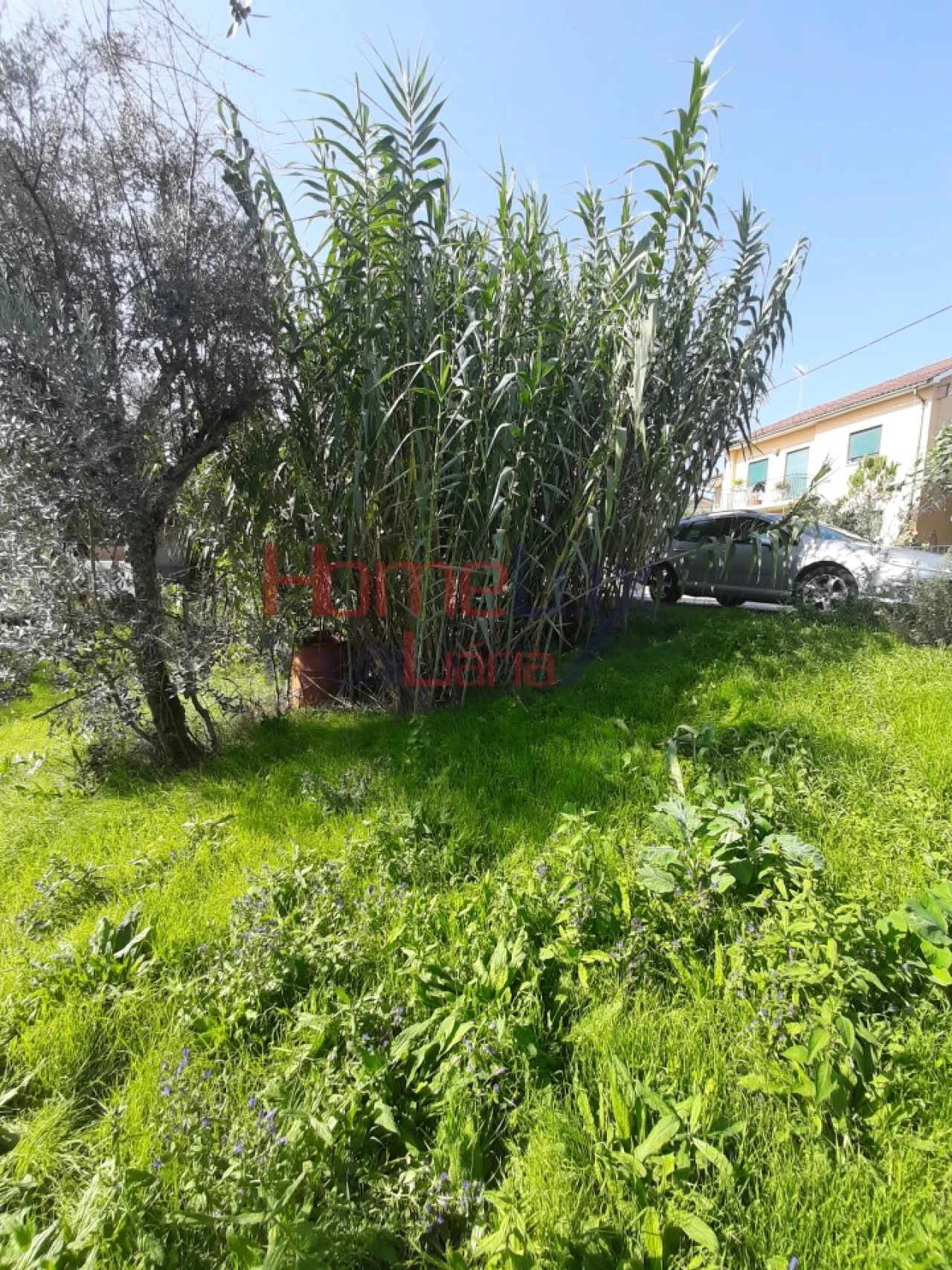 Terreno para Venda em Rio de Loba Foto 3