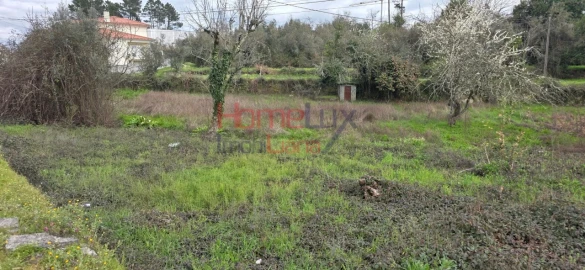Terreno para Venda em Rio de Loba