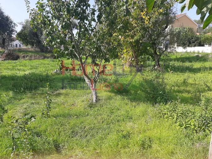 Terreno para Venda em Rio de Loba Foto 2