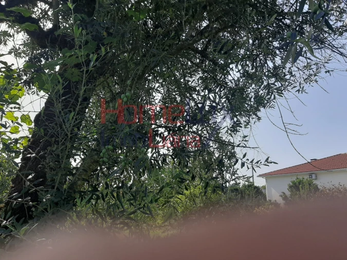 Terreno para Venda em Rio de Loba Foto 4