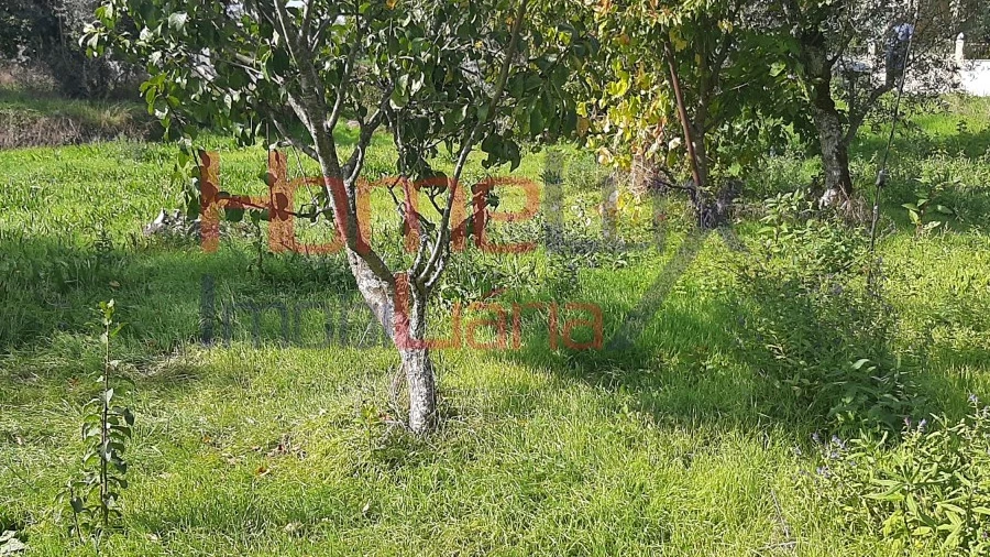 Terreno para Venda em Rio de Loba
