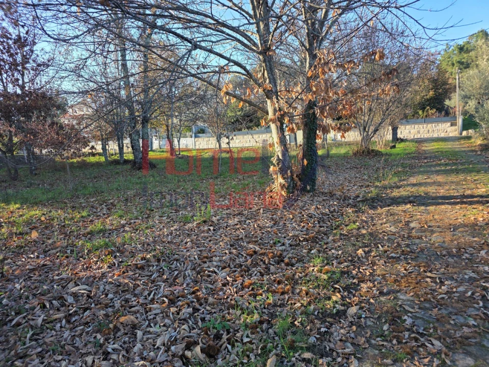 Terreno para Venda em Barreiros e Cepões Foto 3