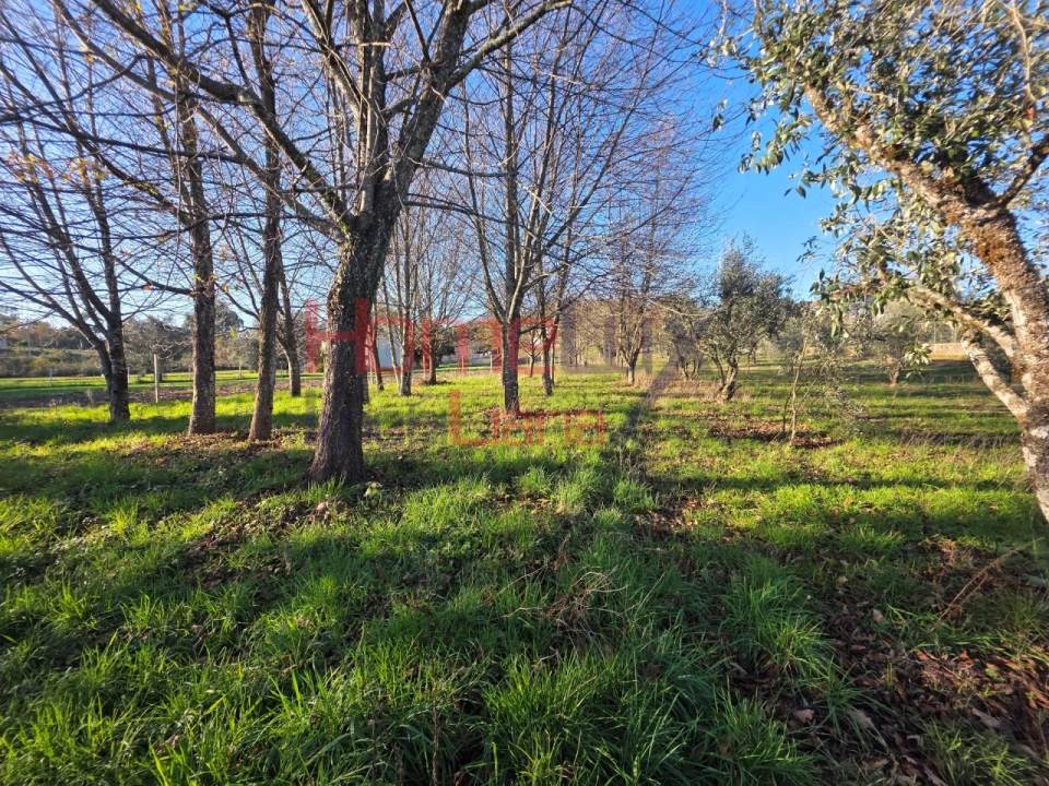 Terreno para Venda em Barreiros e Cepões Foto 5