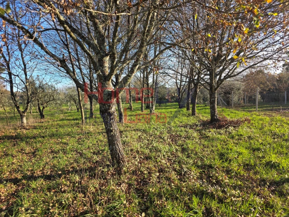 Terreno para Venda em Barreiros e Cepões Foto 8