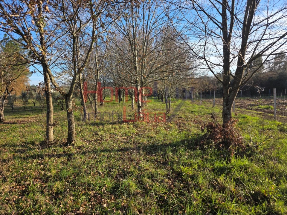 Terreno para Venda em Barreiros e Cepões Foto 9