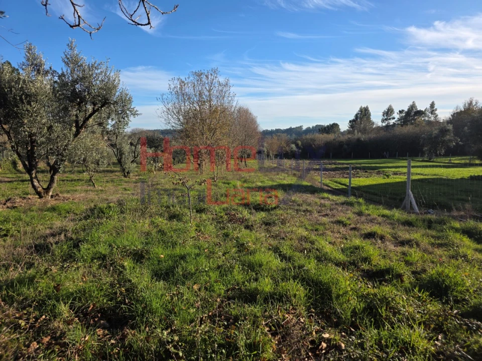 Terreno para Venda em Barreiros e Cepões Foto 11