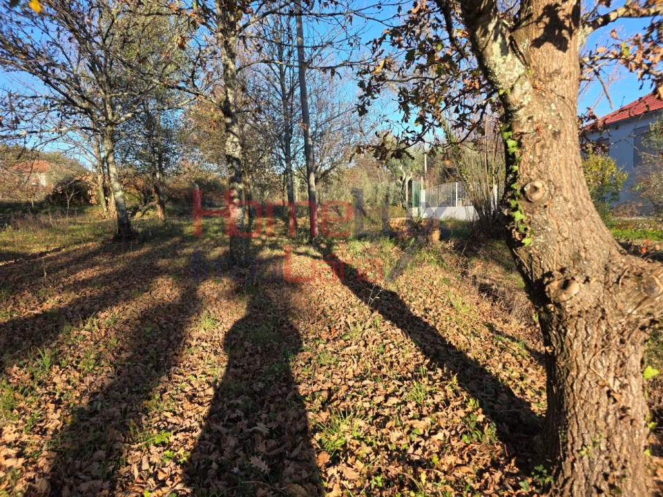 Terreno para Venda em Barreiros e Cepões Foto 15