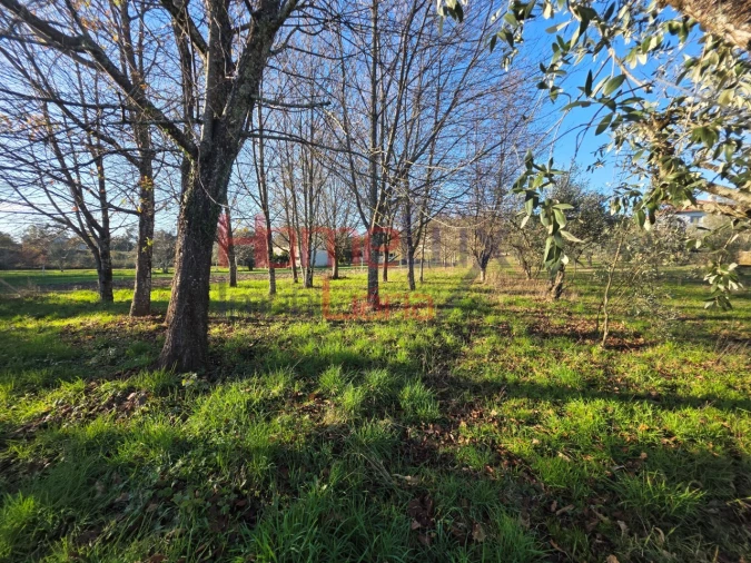 Terreno para Venda em Barreiros e Cepões Foto 4