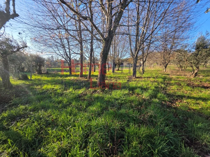 Terreno para Venda em Barreiros e Cepões Foto 6