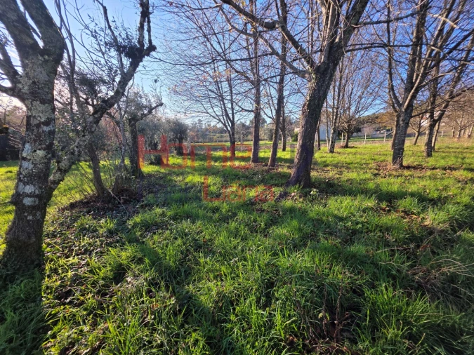 Terreno para Venda em Barreiros e Cepões Foto 7