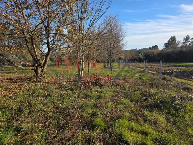 Terreno para Venda em Barreiros e Cepões Foto 10