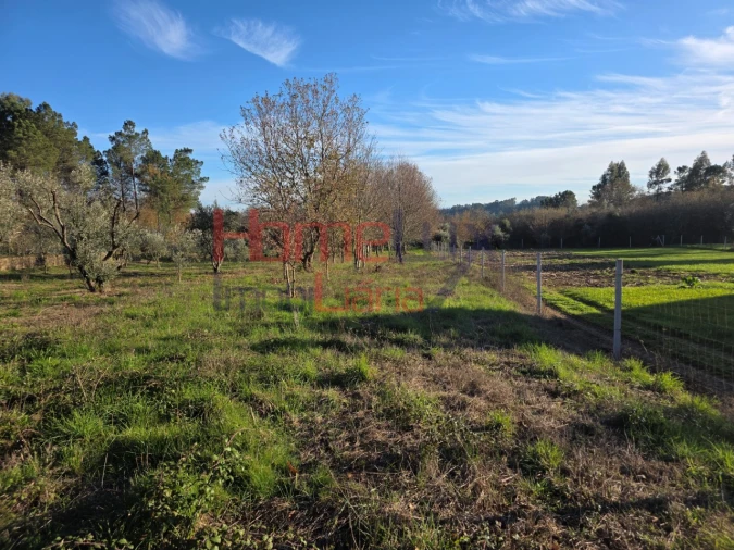 Terreno para Venda em Barreiros e Cepões Foto 12