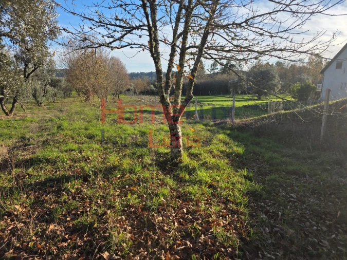 Terreno para Venda em Barreiros e Cepões Foto 13