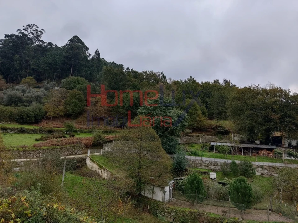 Terreno para Venda em Castro Daire Foto 2