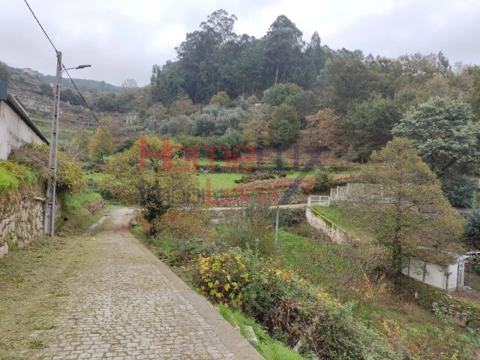 Terreno para Venda em Castro Daire Foto 3