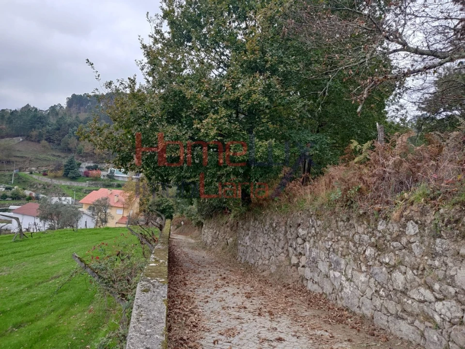 Terreno para Venda em Castro Daire Foto 15