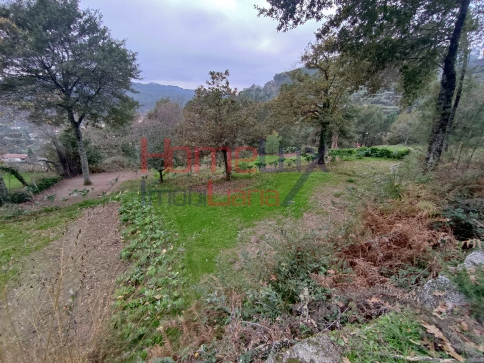 Terreno para Venda em Castro Daire Foto 19