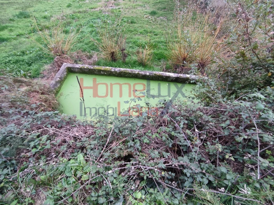 Terreno para Venda em Castro Daire Foto 21