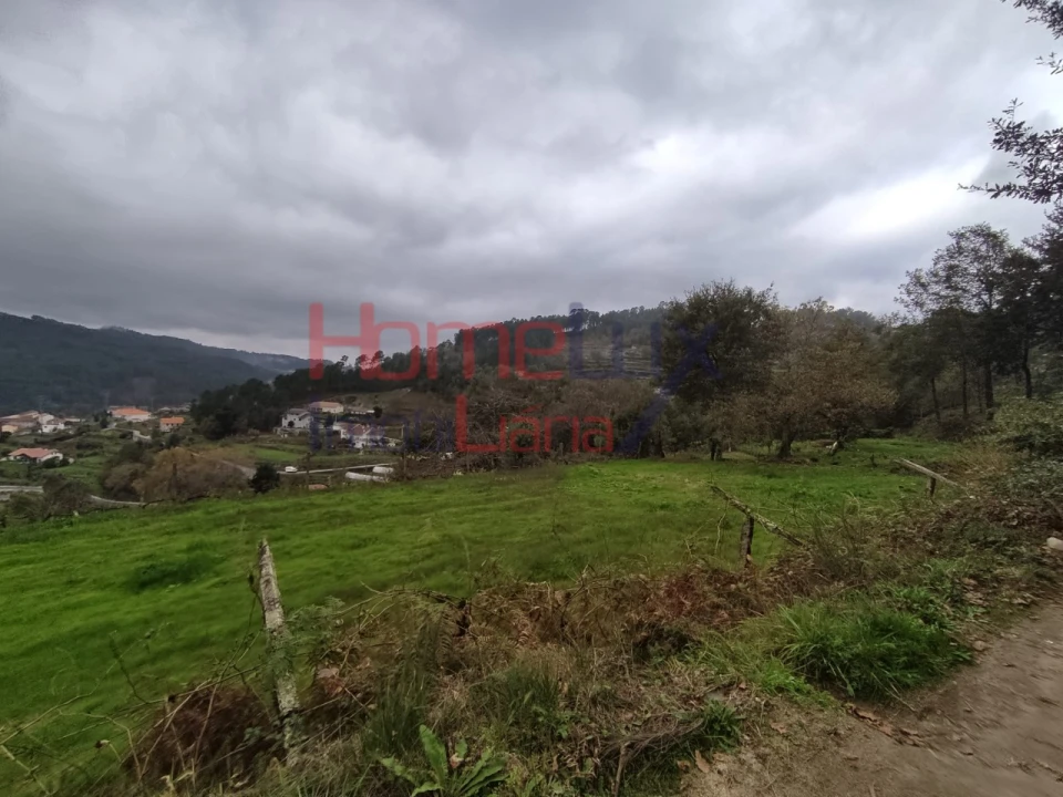 Terreno para Venda em Castro Daire Foto 24