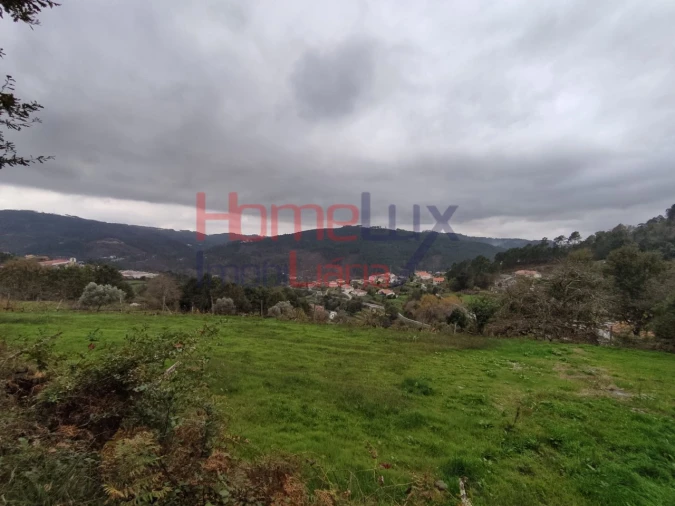 Terreno para Venda em Castro Daire Foto 1