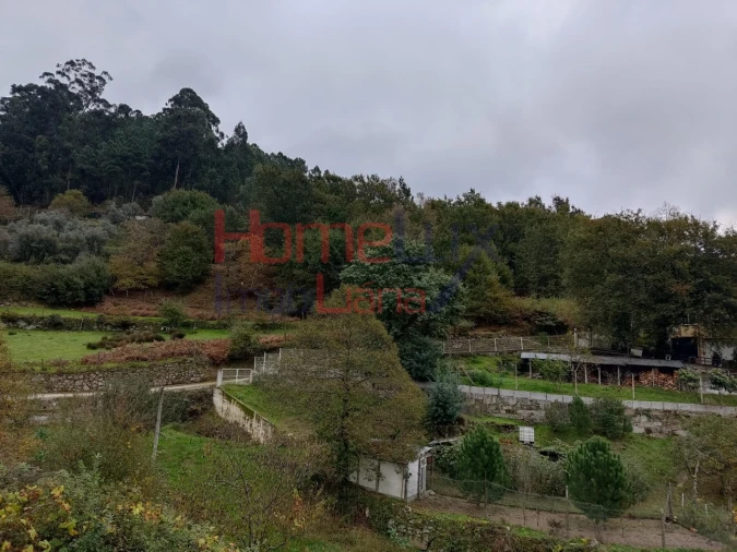 Terreno para Venda em Castro Daire Foto 2