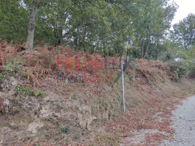 Terreno para Venda em Castro Daire Foto 4