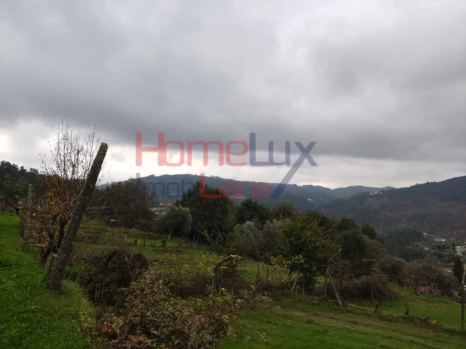 Terreno para Venda em Castro Daire Foto 14