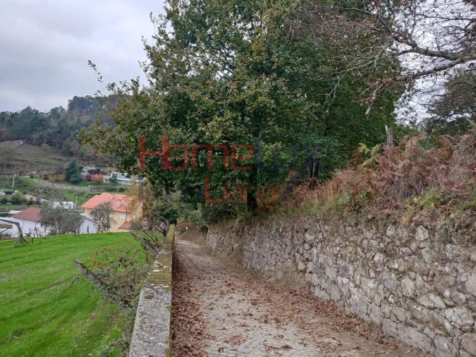 Terreno para Venda em Castro Daire Foto 15