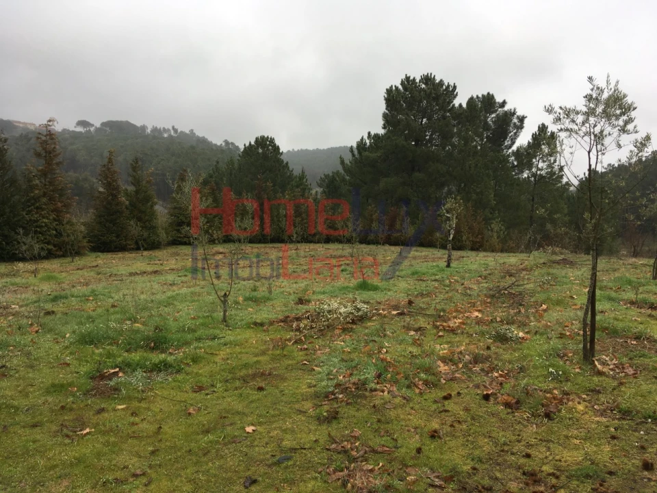 Terreno para Venda em Mangualde, Mesquitela e Cunha Alta Foto 3