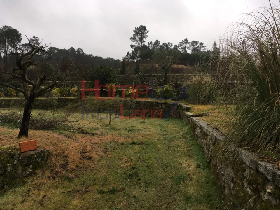 Terreno para Venda em Mangualde, Mesquitela e Cunha Alta Foto 5