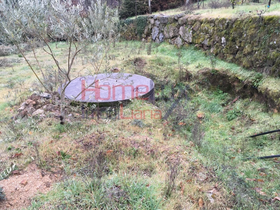 Terreno para Venda em Mangualde, Mesquitela e Cunha Alta Foto 7
