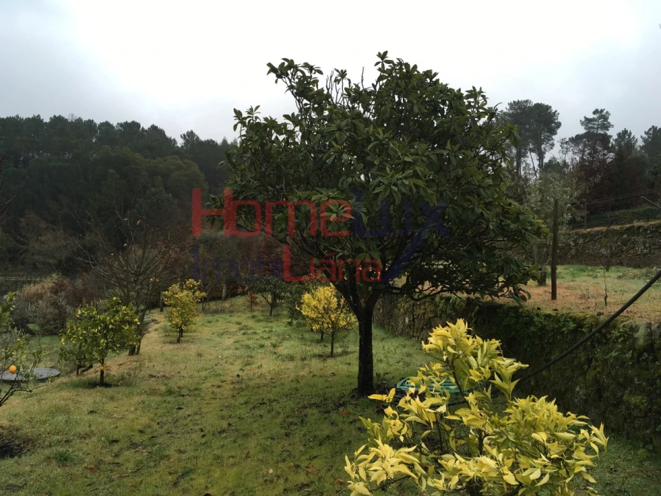 Terreno para Venda em Mangualde, Mesquitela e Cunha Alta Foto 11
