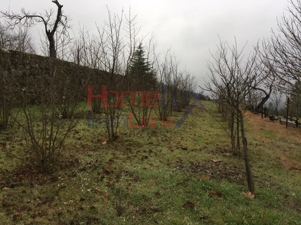 Terreno para Venda em Mangualde, Mesquitela e Cunha Alta Foto 12