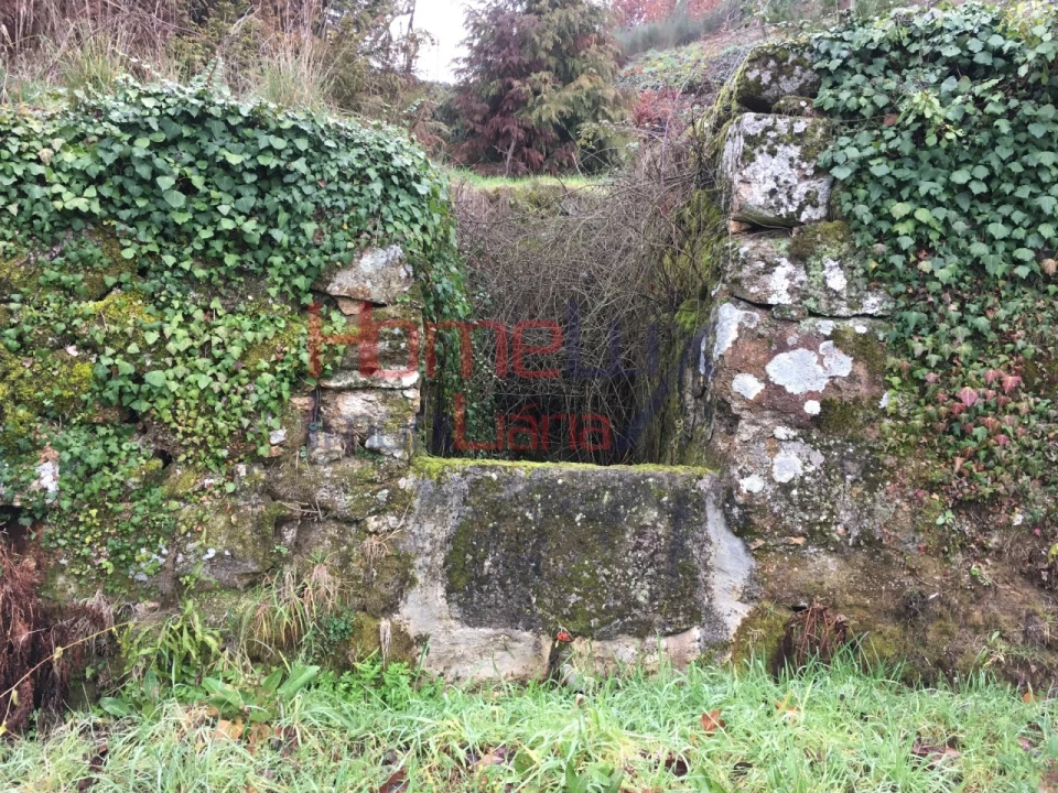 Terreno para Venda em Mangualde, Mesquitela e Cunha Alta Foto 13