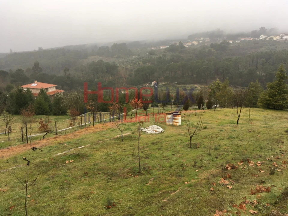 Terreno para Venda em Mangualde, Mesquitela e Cunha Alta Foto 16