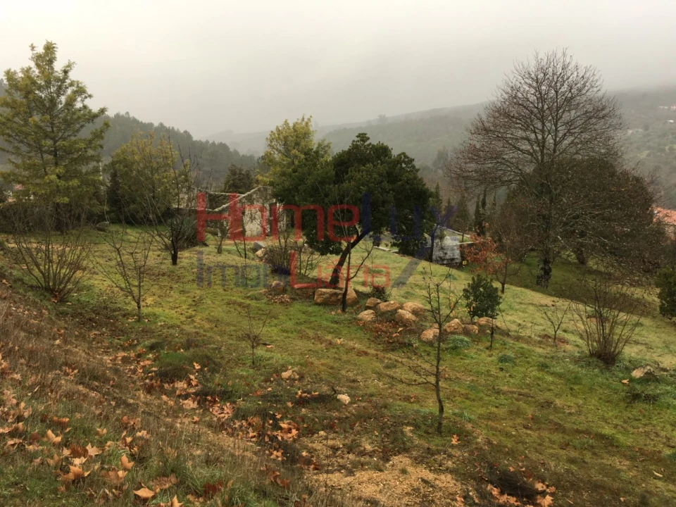Terreno para Venda em Mangualde, Mesquitela e Cunha Alta Foto 18