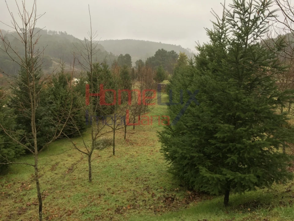 Terreno para Venda em Mangualde, Mesquitela e Cunha Alta Foto 24