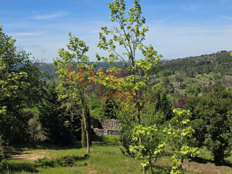 Terreno para Venda em Mangualde, Mesquitela e Cunha Alta Foto 27
