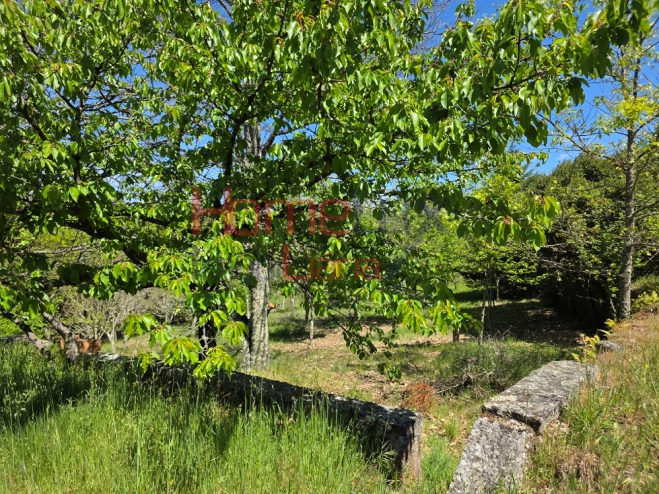 Terreno para Venda em Mangualde, Mesquitela e Cunha Alta Foto 28