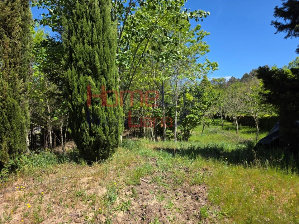 Terreno para Venda em Mangualde, Mesquitela e Cunha Alta Foto 31